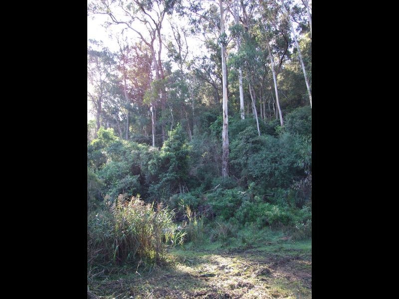 154 Vimy Ridge Road, Bega NSW 2550