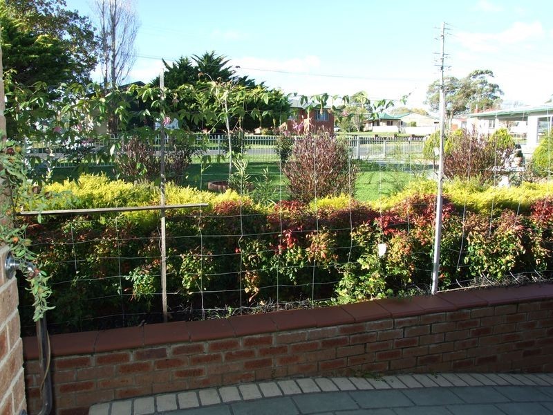 29 Bermagui Road, Cobargo NSW 2550