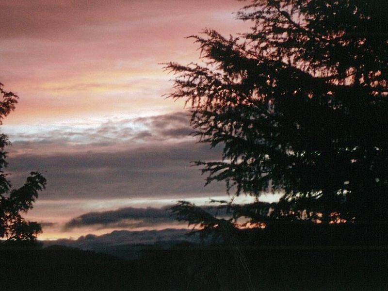 29 Bermagui Road, Cobargo NSW 2550