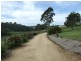 52 Grosses Creek Road, Bega NSW 2550