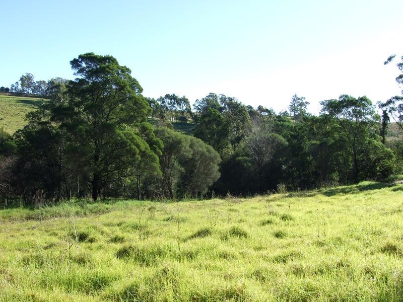 Applegum Grove/11171 Princes Hwy, Cobargo NSW 2550