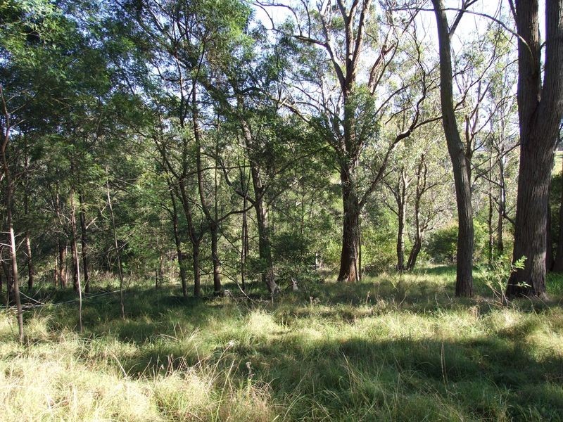 Applegum Grove/11171 Princes Hwy, Cobargo NSW 2550