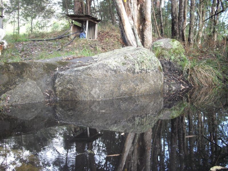 Applegum Grove/11171 Princes Hwy, Cobargo NSW 2550