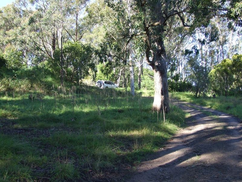 Applegum Grove/11171 Princes Hwy, Cobargo NSW 2550