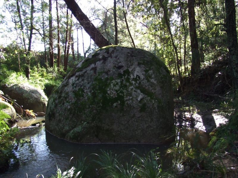 Applegum Grove/11171 Princes Hwy, Cobargo NSW 2550