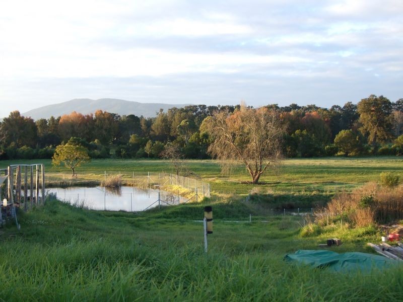 Lot 13 Millowine Lane, Bega NSW 2550