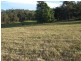 Lot 6 Princes Highway, Cobargo NSW 2550