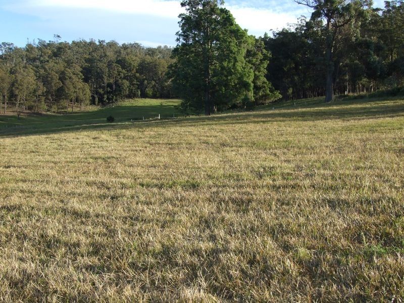 Lot 6 Princes Highway, Cobargo NSW 2550