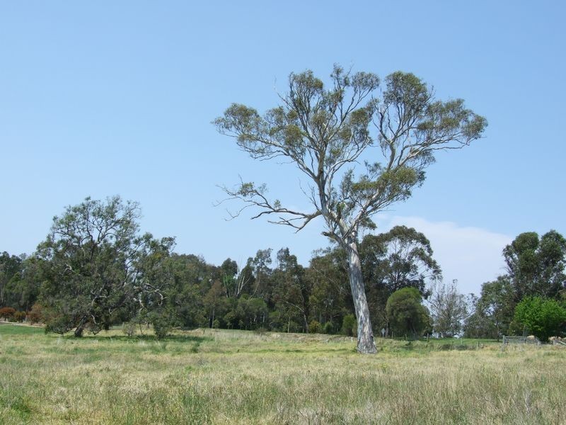 Bega NSW 2550