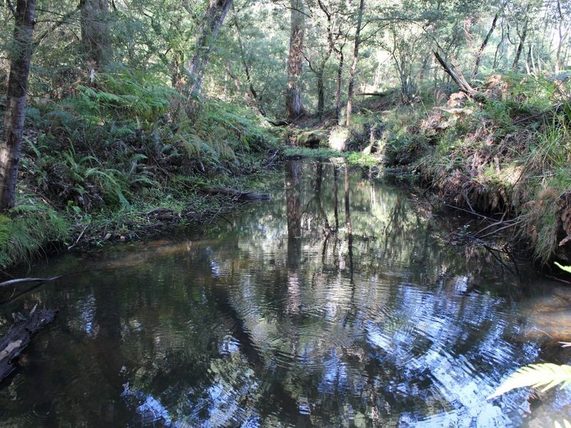 Lot 3 Harris Road, Brogo NSW 2550