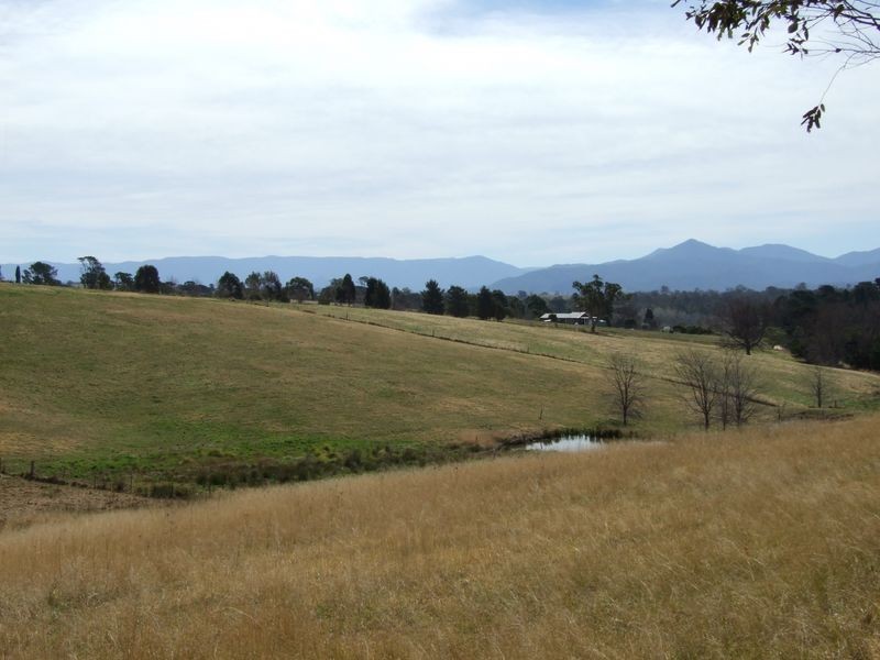 21 Springfield Road, Candelo NSW 2550