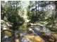 454 Yowrie Road, Cobargo NSW 2550