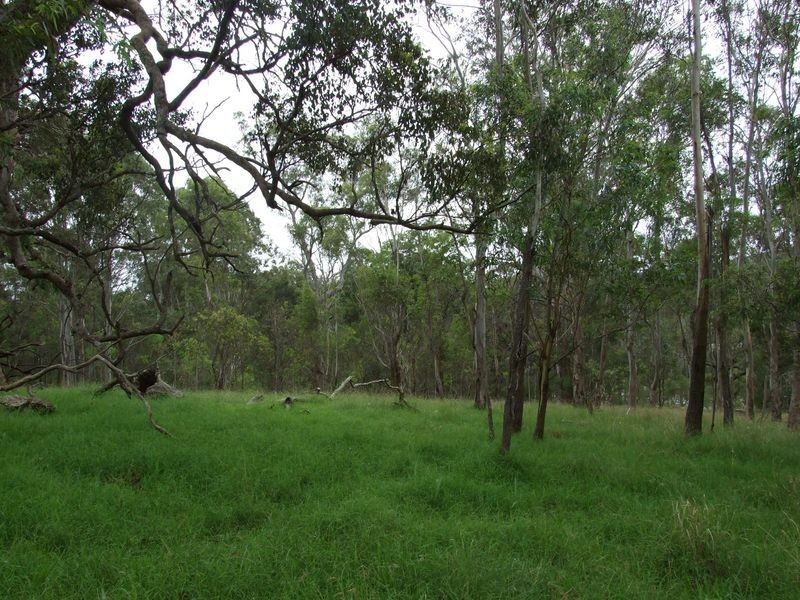 Lot 1 Princes Highway, Angledale NSW 2550