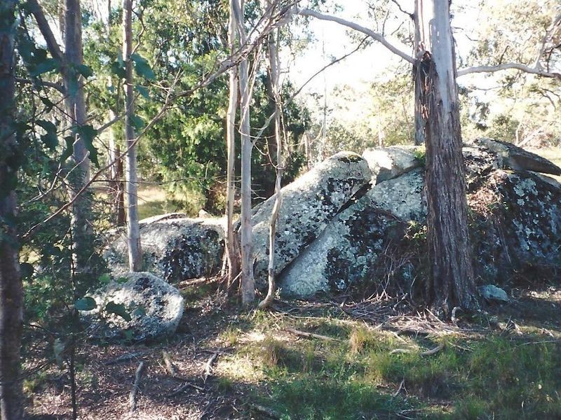 Lot 1 Princes Highway, Angledale NSW 2550