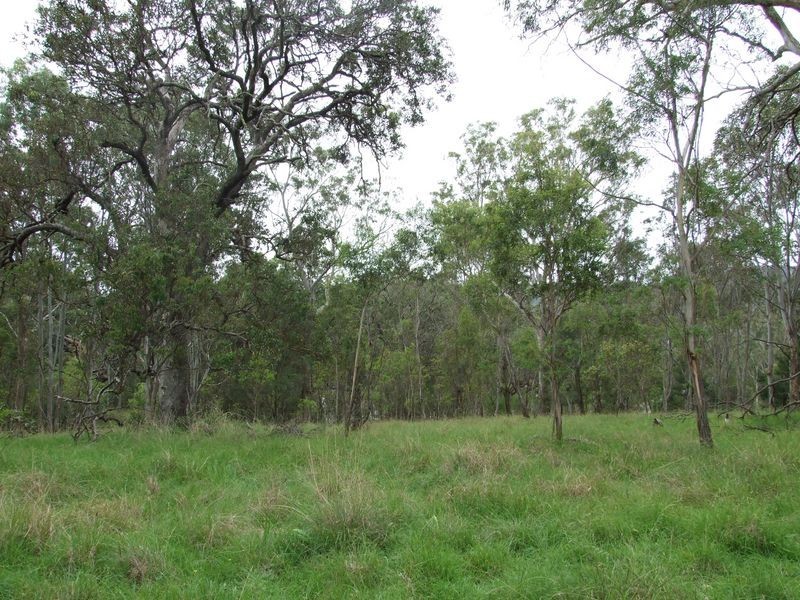 Lot 10 Moorlands Lane, Angledale NSW 2550