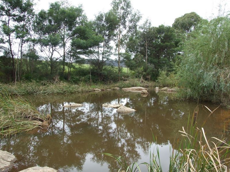Lot 10 Moorlands Lane, Angledale NSW 2550