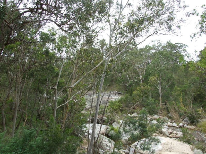 Lot 10 Moorlands Lane, Angledale NSW 2550