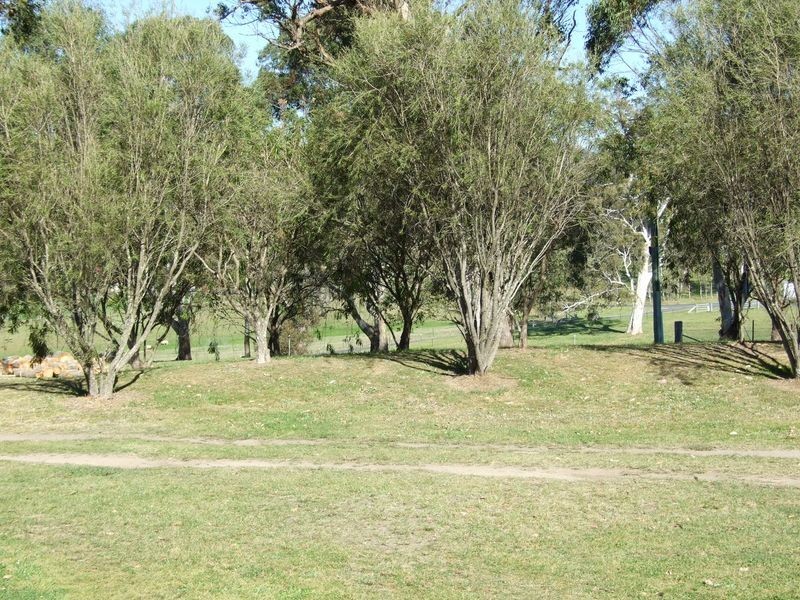 86 Corridgeree Road, Tarraganda NSW 2550