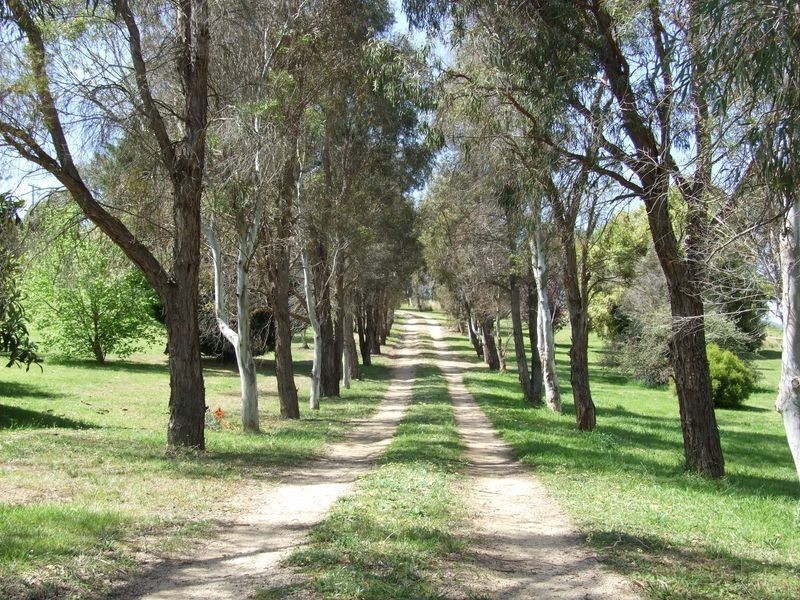 10 Ticehurst Close, Bega NSW 2550