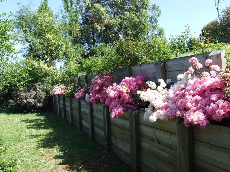 10 Ticehurst Close, Bega NSW 2550