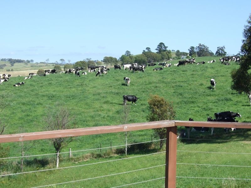 10 Ticehurst Close, Bega NSW 2550