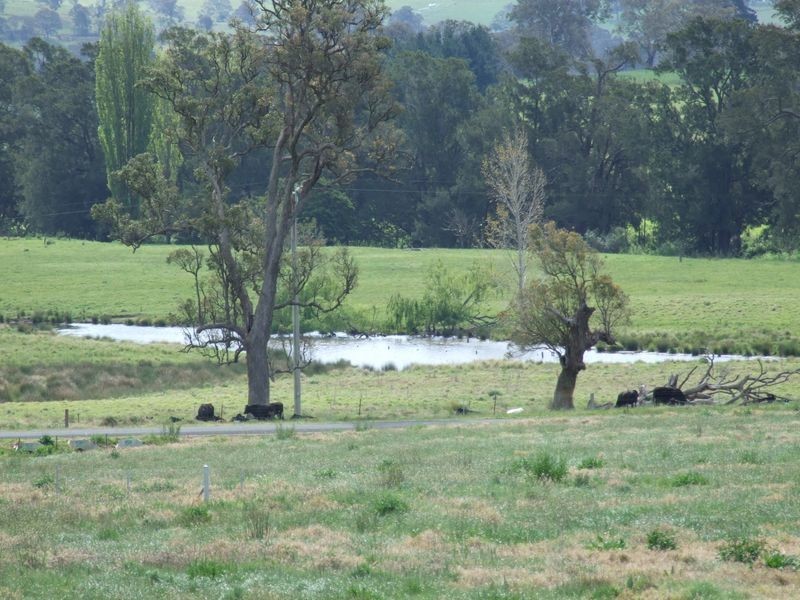 Lot 12 Bells Place, Tarraganda NSW 2550