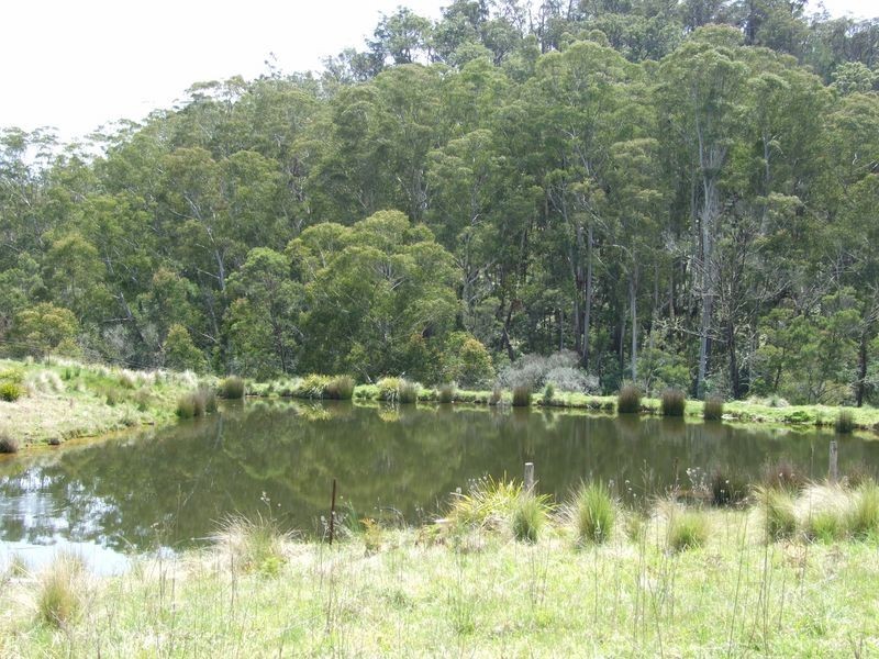 284 Field Buckets Road, Quaama NSW 2550