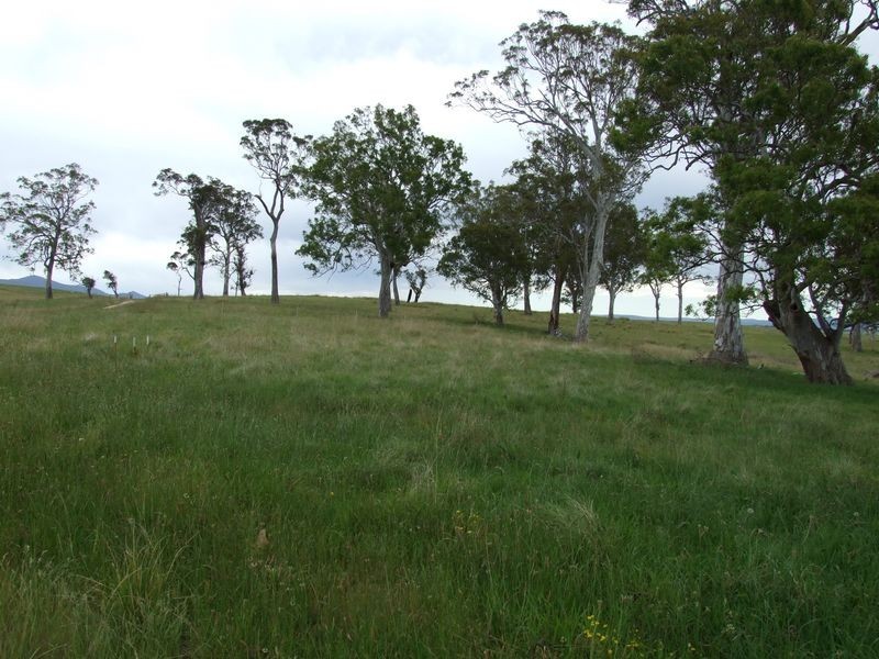 Lot 3 Newlyns Estate, Bega NSW 2550