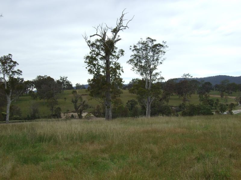 Lot 3 Newlyns Estate, Bega NSW 2550