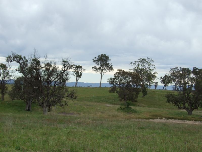 Lot 5 Newlyns Estate, Bega NSW 2550