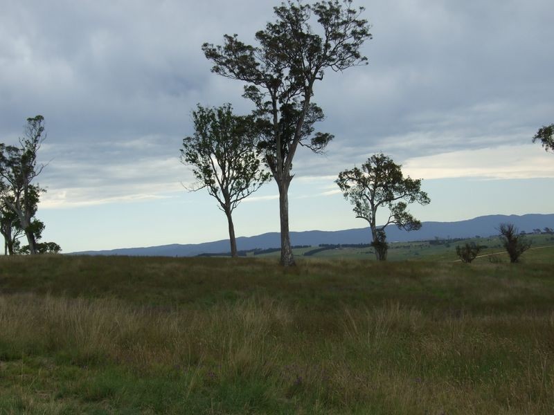 Lot 6 Newlyns Estate, Bega NSW 2550