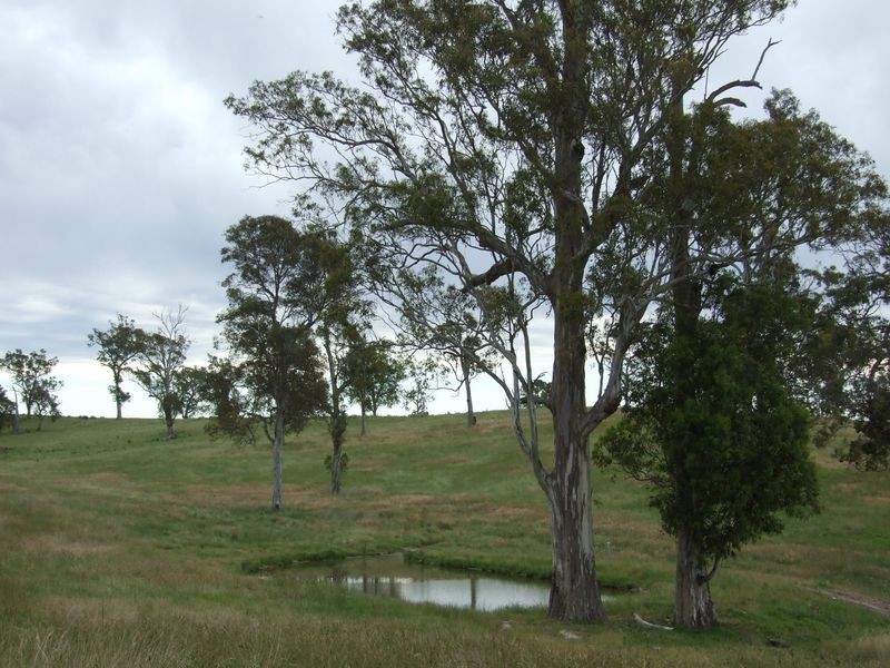 Lot 8 Newlyns Estate, Bega NSW 2550
