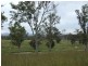 Lot 8 Newlyns Estate, Bega NSW 2550