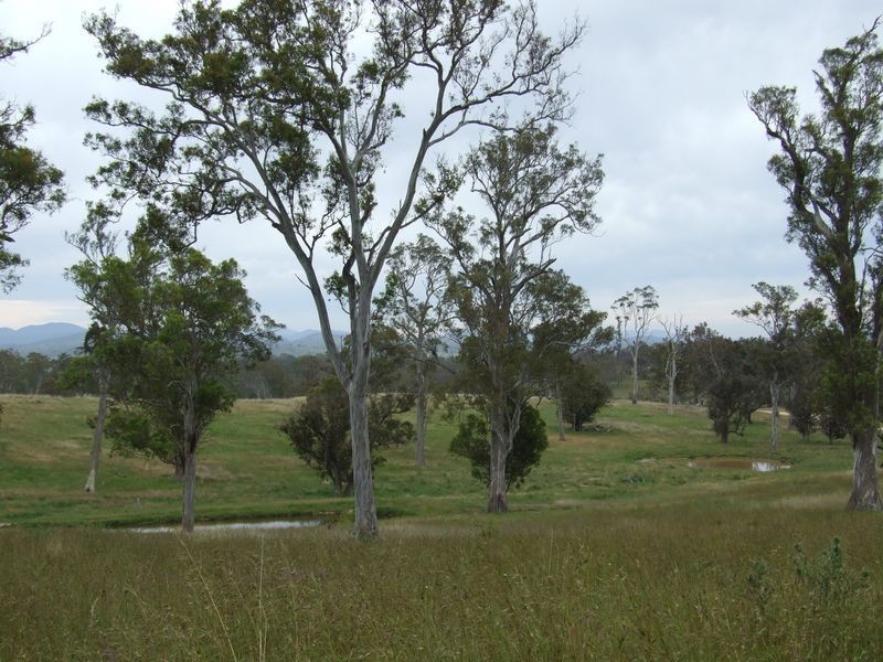 Lot 8 Newlyns Estate, Bega NSW 2550