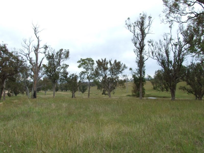 Lot 9 Newlyns Estate, Bega NSW 2550