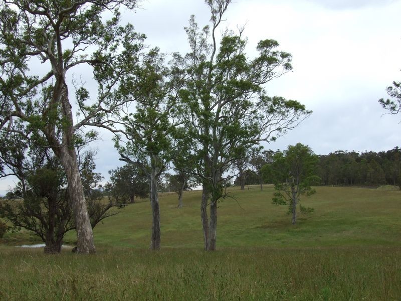 Lot 9 Newlyns Estate, Bega NSW 2550