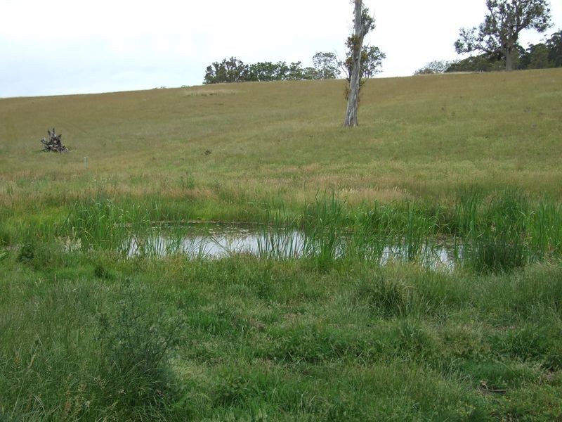 Lot 10 Newlyns Estate, Bega NSW 2550