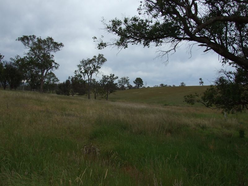 Lot 10 Newlyns Estate, Bega NSW 2550
