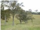 Lot 11 Newlyns Estate, Bega NSW 2550