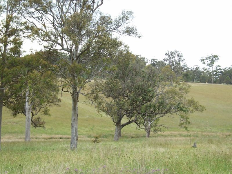 Lot 11 Newlyns Estate, Bega NSW 2550