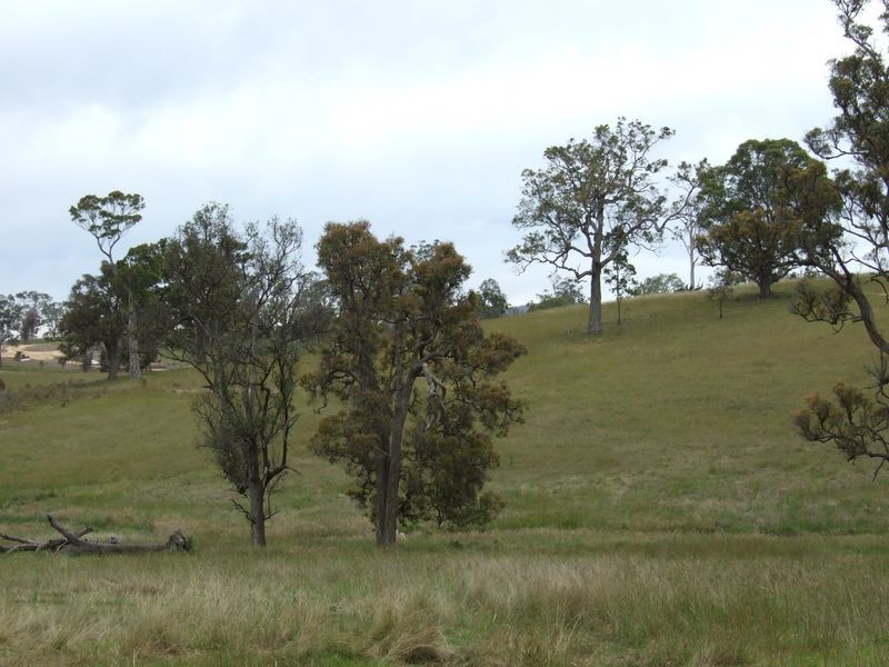Lot 11 Newlyns Estate, Bega NSW 2550