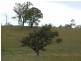 Lot 11 Newlyns Estate, Bega NSW 2550