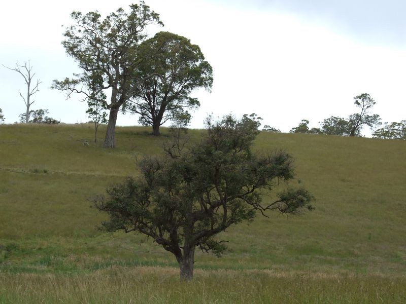 Lot 11 Newlyns Estate, Bega NSW 2550