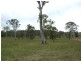 Lot 12 Newlyns Estate, Bega NSW 2550