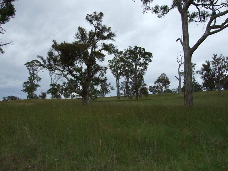 Lot 12 Newlyns Estate, Bega NSW 2550