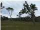 Lot 13 Newlyns Estate, Bega NSW 2550