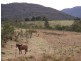549 Yankees Gap Road, Bemboka NSW 2550