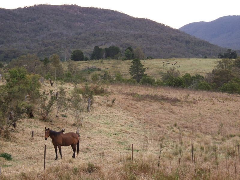 549 Yankees Gap Road, Bemboka NSW 2550