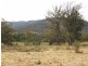 549 Yankees Gap Road, Bemboka NSW 2550