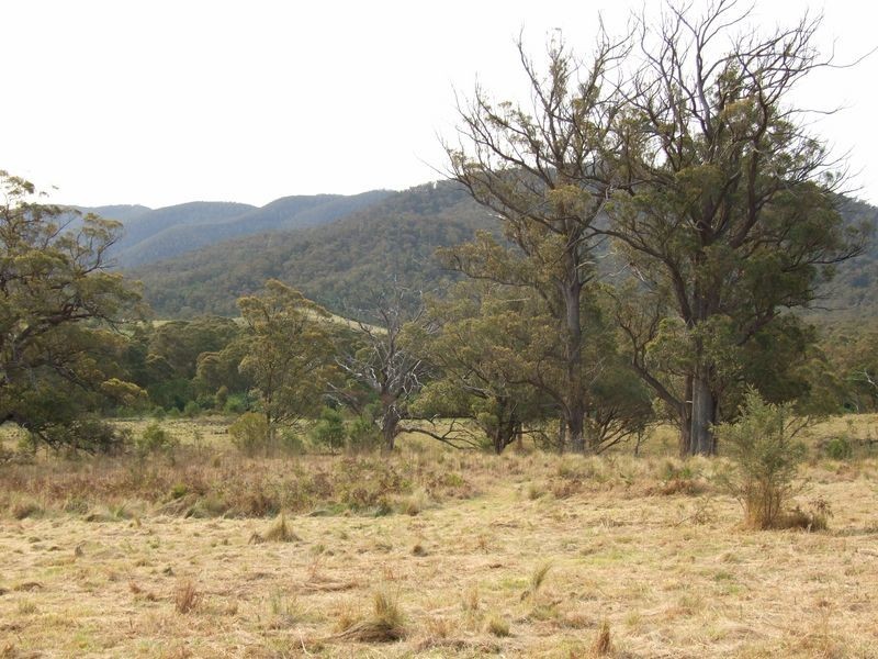 549 Yankees Gap Road, Bemboka NSW 2550